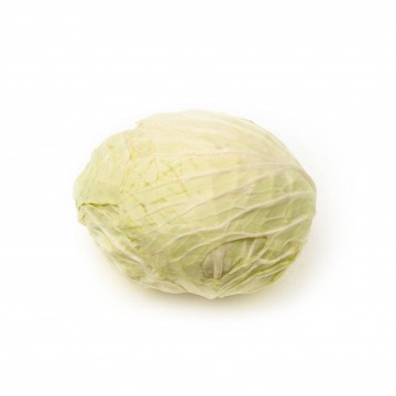 Cabbage White 包菜 (1.2-1.5kg/pcs)