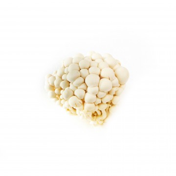 White Shimeiji Mushroom  白蟹味菇 (150g/pkt)