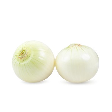 White Onion Peeled 白葱肉 (1kg/pkt)