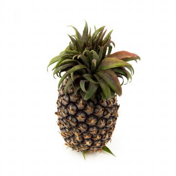Honey Pineapple 凤梨 (1pcs)